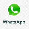 Whatsapps Live